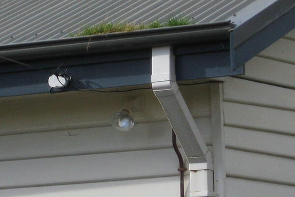 Gutter and Downpipe